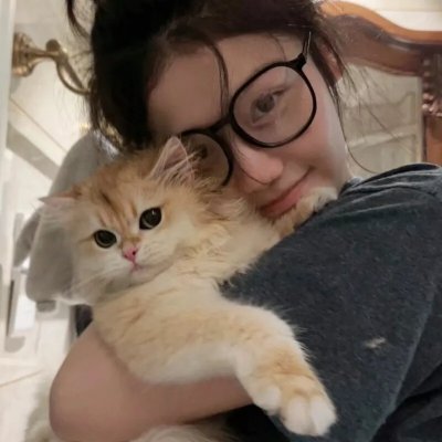 妖猫传