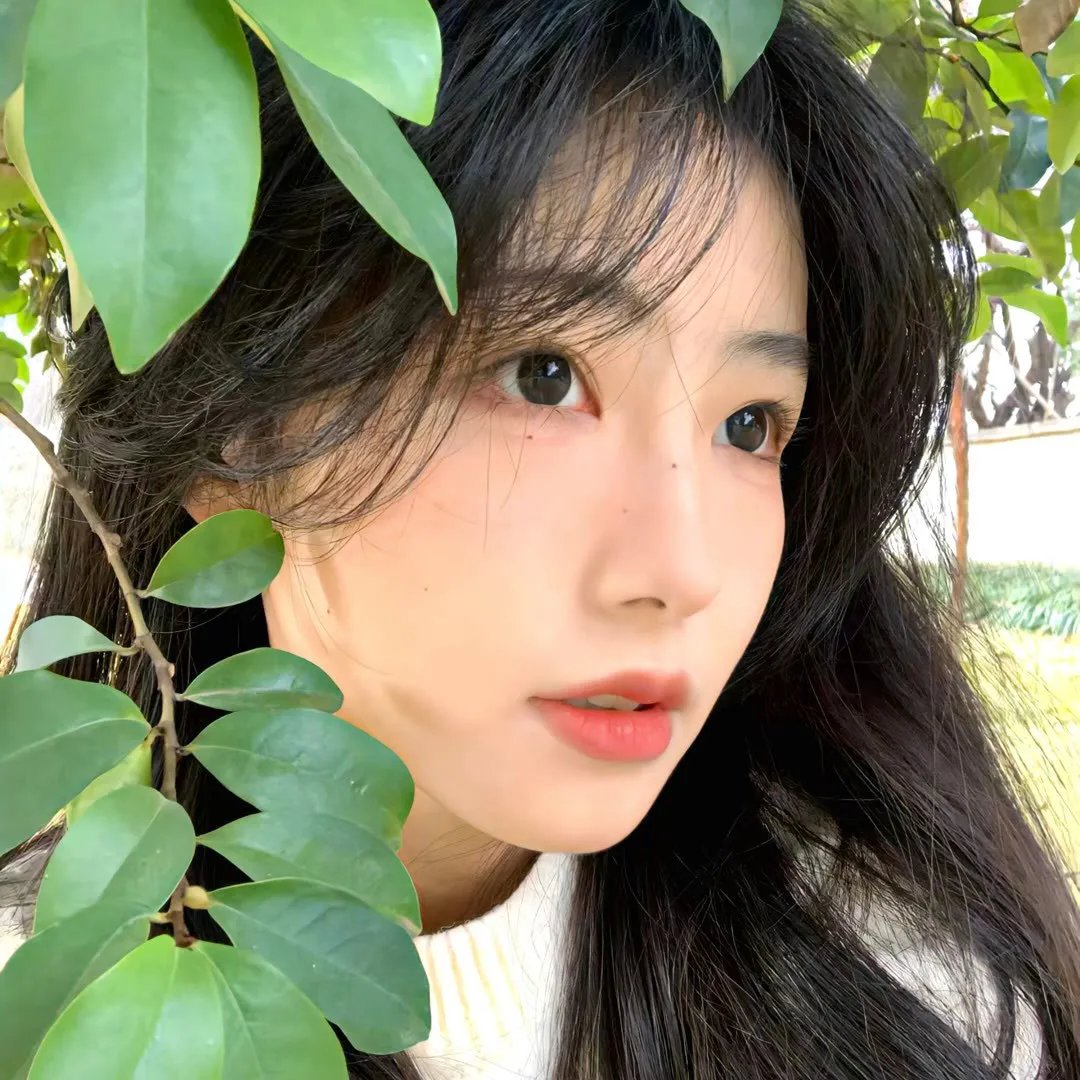 鹿王